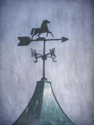 Running Free Weather Vane | Obraz na stenu