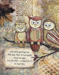Wise Owls | Obraz na stenu