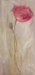 Poppies II | Obraz na stenu