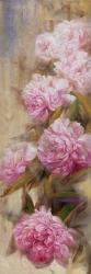 Peonies II | Obraz na stenu