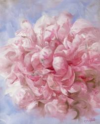 Pink Peonie I | Obraz na stenu