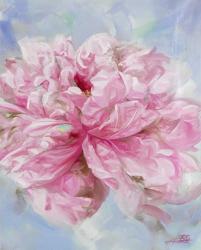 Pink Peonie II | Obraz na stenu