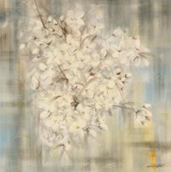White Cherry Blossom I | Obraz na stenu