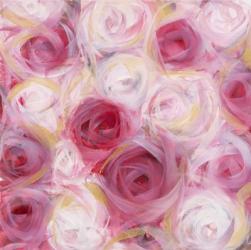 White and Pink Roses | Obraz na stenu