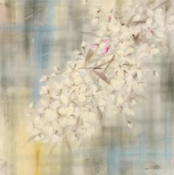 White Cherry Blossom II | Obraz na stenu