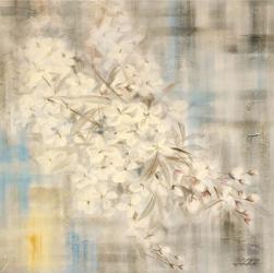 White Cherry Blossom III | Obraz na stenu