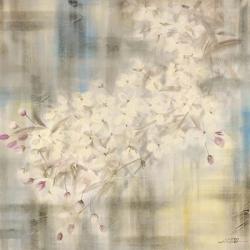 White Cherry Blossom IV | Obraz na stenu