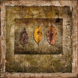 Autumn Leaves I | Obraz na stenu