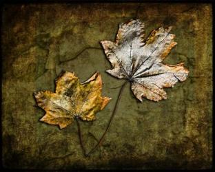 Metallic Leaf 2 | Obraz na stenu