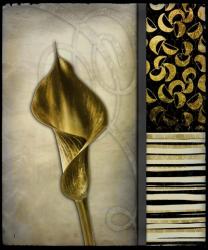 Gold Lily 2 | Obraz na stenu