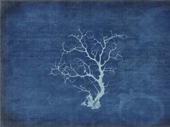 Gypsy Blue Cyanotype V2 | Obraz na stenu