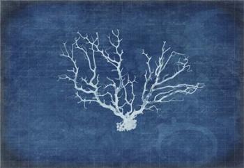 Gypsy Blue Cyanotype V3 | Obraz na stenu