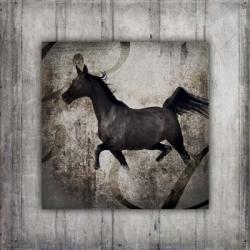 Gypsy Horse Collection V1 7 | Obraz na stenu