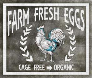 Farm Sign Eggs | Obraz na stenu