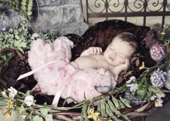 Sleeping Beauty | Obraz na stenu