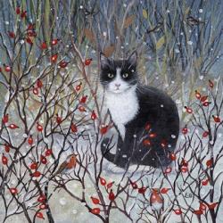 Cat and Berries | Obraz na stenu