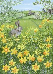 Easter Rabbit and Daffodils | Obraz na stenu