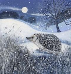 Hedgehog and Moon | Obraz na stenu