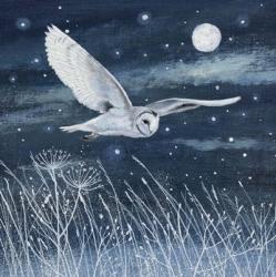 Owl Frost and Stars | Obraz na stenu