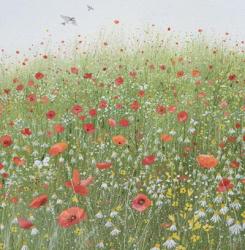 Poppy Field | Obraz na stenu