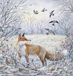 Red Fox and Pigeons | Obraz na stenu