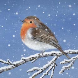 Robin and Snowflakes | Obraz na stenu