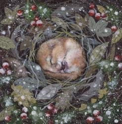 Sleepy Dormouse | Obraz na stenu