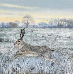 Snowy Field and Hare | Obraz na stenu