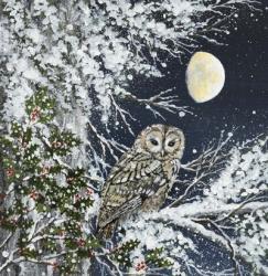 Tawny Owl and Holly | Obraz na stenu