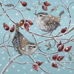 Wrens and Rosehips | Obraz na stenu