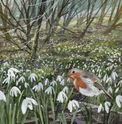 Snowdrops and Robin | Obraz na stenu