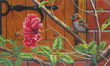 The Sparrow Who Visit Your Window | Obraz na stenu