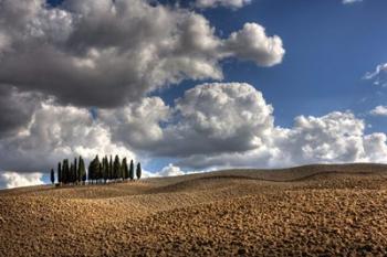 Tuscany III | Obraz na stenu