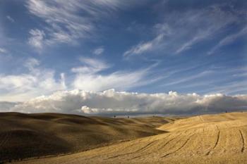 Tuscany VI | Obraz na stenu