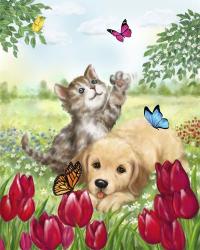 Dog and Cat with Butterflies | Obraz na stenu