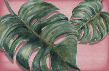 Monstera Leaf | Obraz na stenu