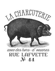 French Pig | Obraz na stenu