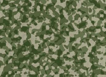 Green Camo | Obraz na stenu