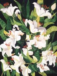 White Lilies | Obraz na stenu