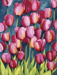 Pink Tulips | Obraz na stenu