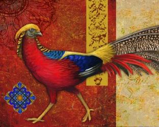 Golden Pheasant | Obraz na stenu