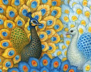 Peacocks | Obraz na stenu