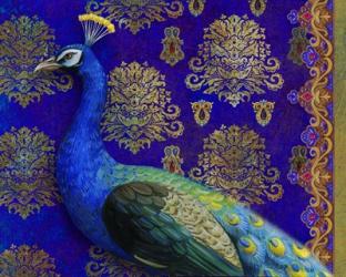 Indian Peacock | Obraz na stenu