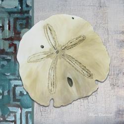 Sand Dollar 1 - Side Border And Turquoise Crackle Back | Obraz na stenu