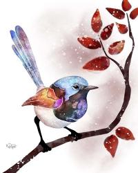 Songbirds- Fairywren Red Leaves | Obraz na stenu