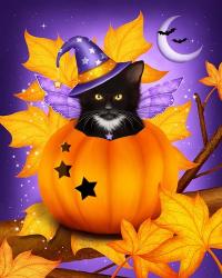 Pumpkin Cat Magic | Obraz na stenu