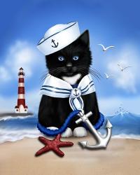 Sailor Boy | Obraz na stenu