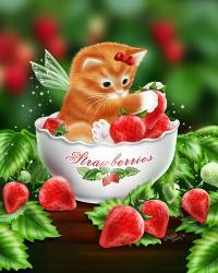 Strawberry Kitten | Obraz na stenu