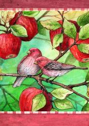 Red Finches With Apples | Obraz na stenu