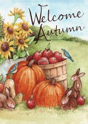 Welcome Autumn Pumpkin | Obraz na stenu